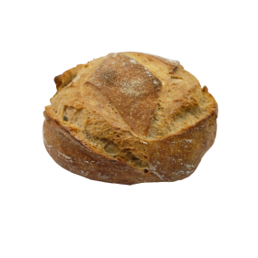 BIO TOURTE PETITE
