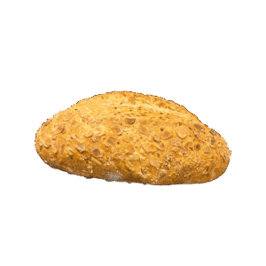 BIO NATURAL