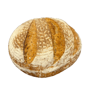 BIO EINKORN