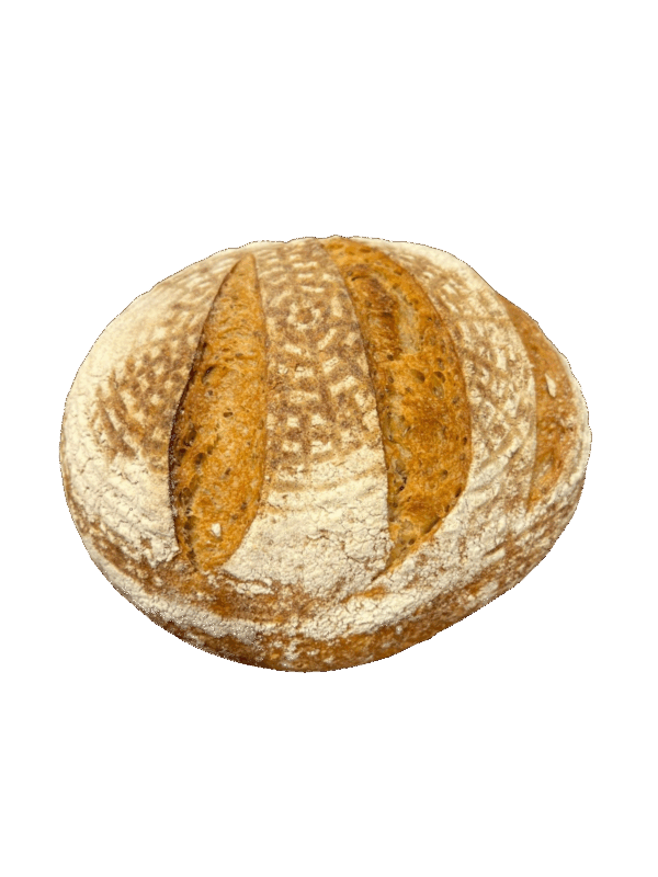 BIO EINKORN