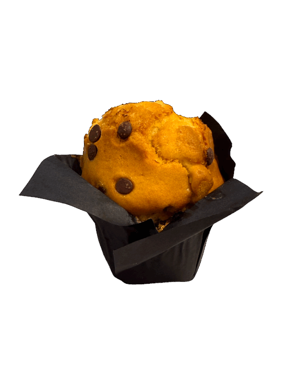 BIO MUFFIN
