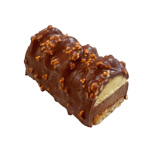 Bio bûchette mousse